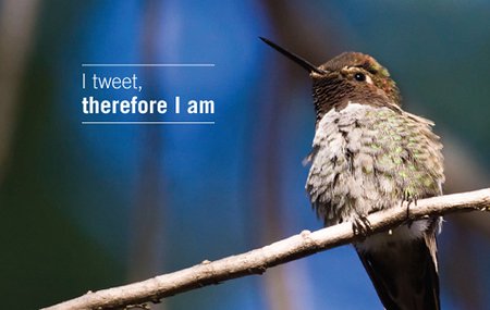 Social media targeted website traffic twitter tips