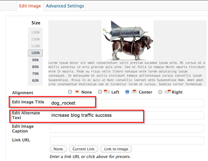 onpage search engine optimization factor alt tag