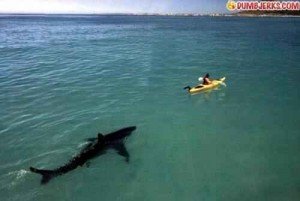 increase site speed image