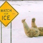 google pagerank signs