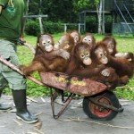 twitter to generate traffic funny image