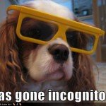 search engine ranking incognito image