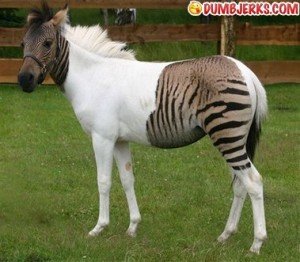 how to promote your blog image