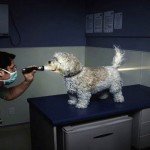 search query terms funny picture