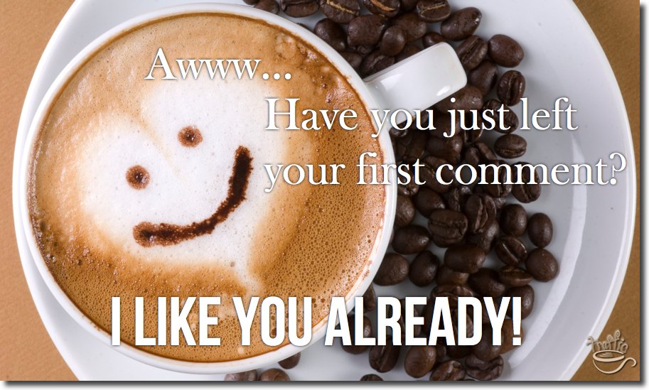 comment at Traffic Generation Cafe