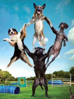 commentluv deep linking trick image