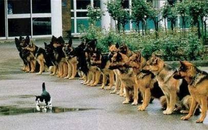 how I got to top of google