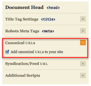 canonical url in thesis