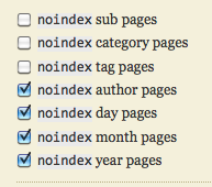 set noindex meta tag in thesis