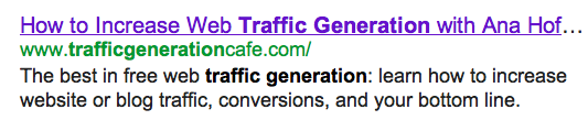 google result for traffic generation cafe