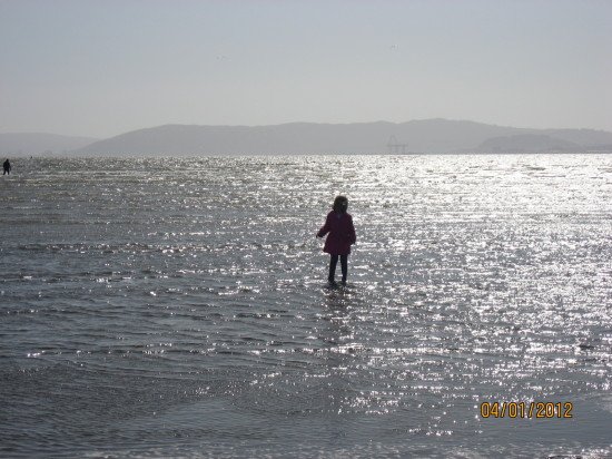 make money report bay pic