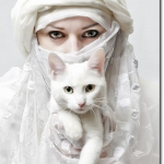 My Monthly Income Report: July 2012