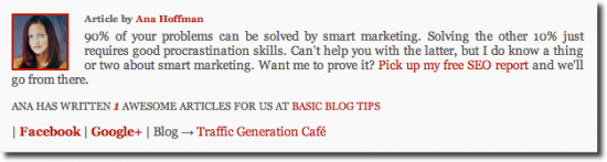 example of author box