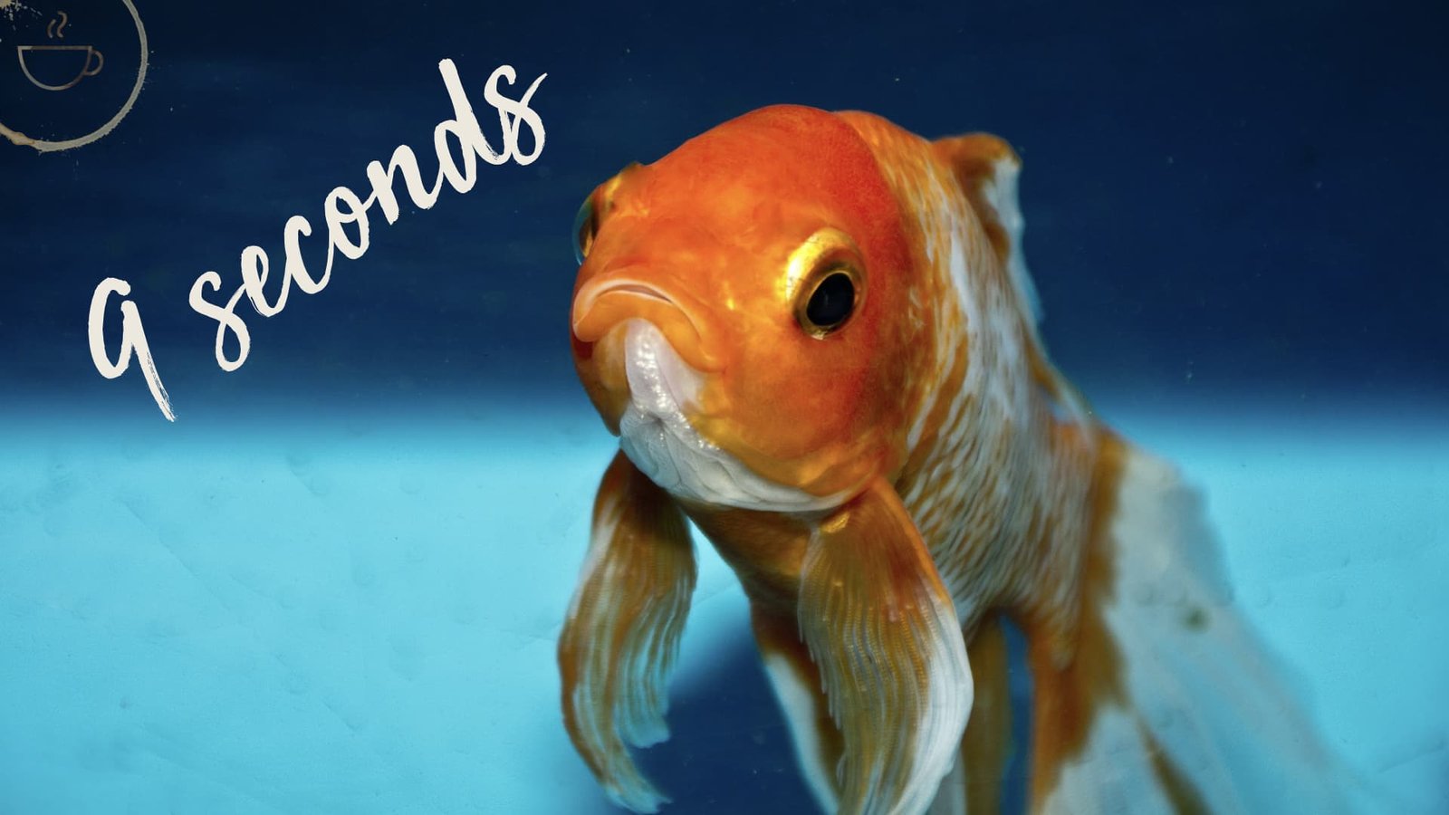 Before we talk about your Twitter account suspension, let me say this (because you have a short attention span!)